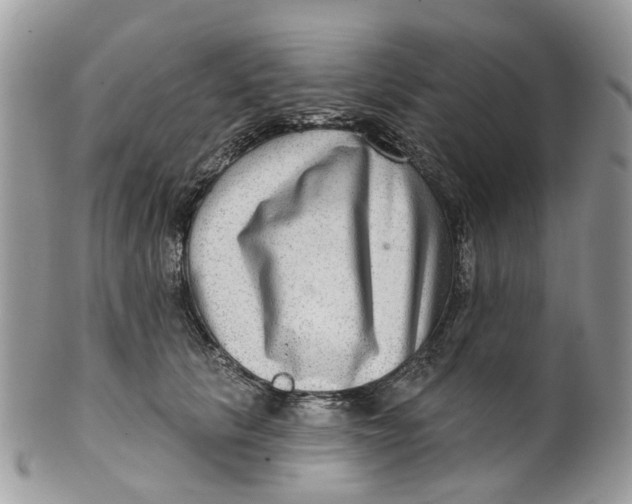 X0000099500657200806051124