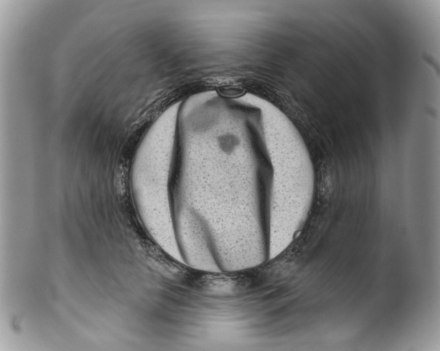 X0000099500658200806051124