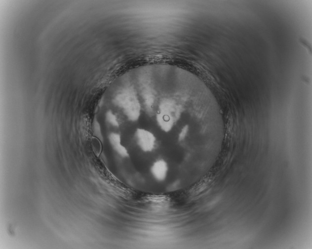 X0000099500659200806051124