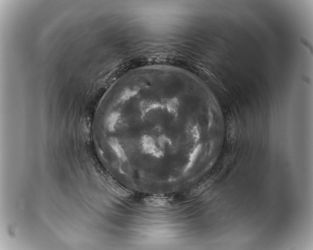 X0000099500661200806051124