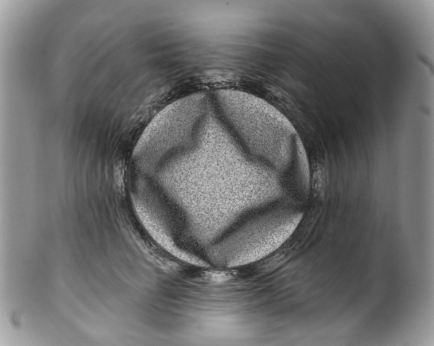 X0000099500662200806051124