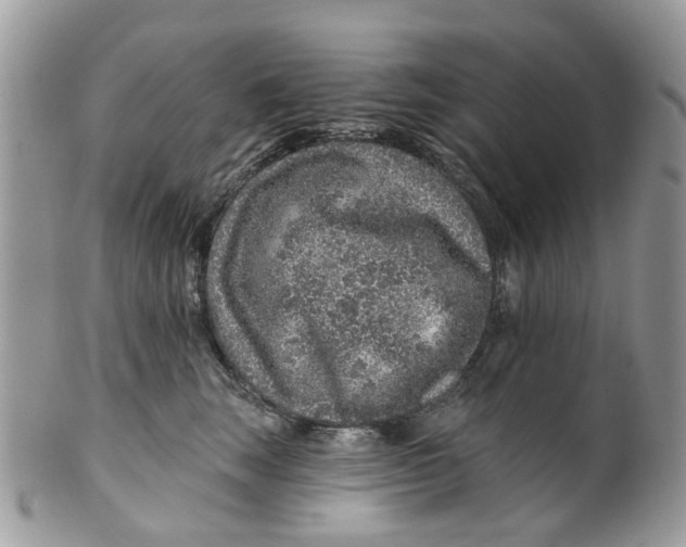 X0000099500663200806051124