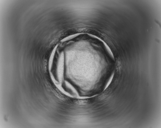 X0000099500664200806051124