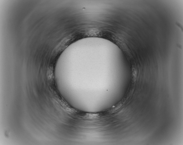 X0000099500665200806051124