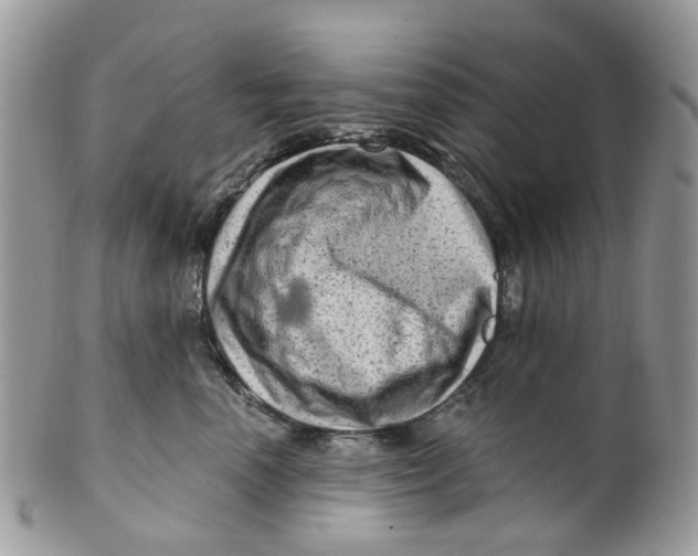 X0000099500666200806051124