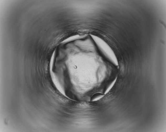 X0000099500668200806051124