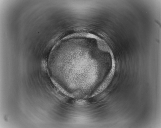 X0000099500669200806051124