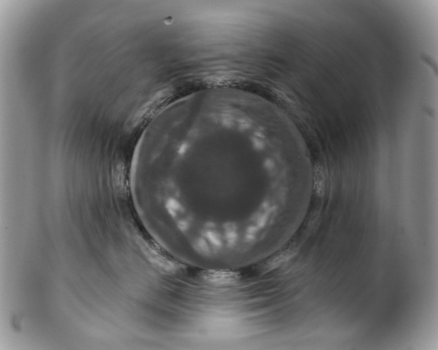 X0000099500670200806051125