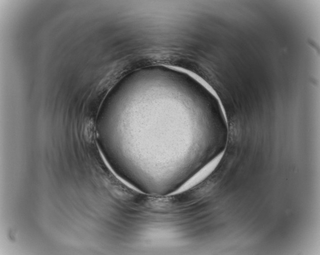 X0000099500671200806051125