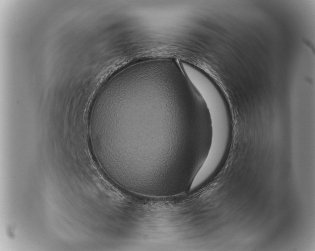 X0000099500673200806051123