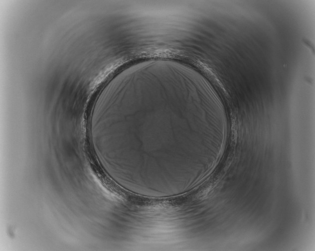 X0000099500674200806051123