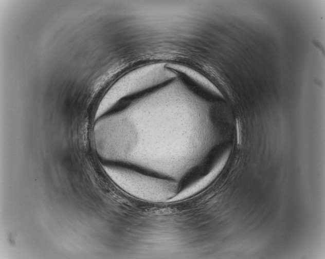 X0000099500675200806051123