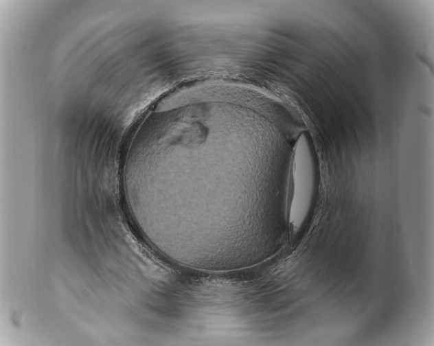 X0000099500677200806051123