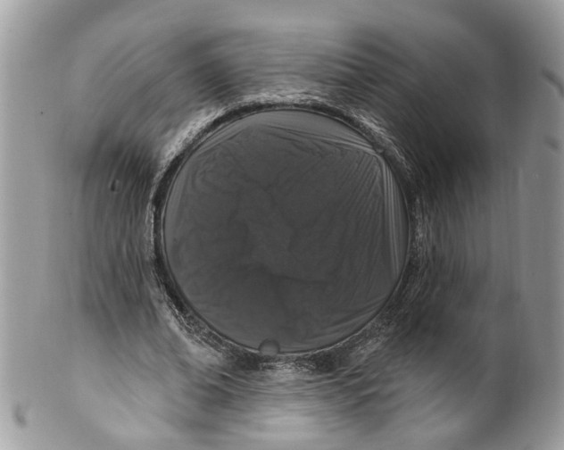 X0000099500678200806051123