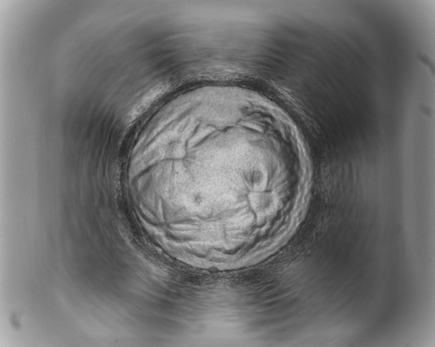 X0000099500679200806051123