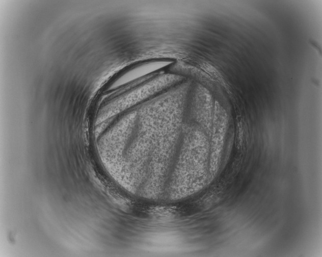 X0000099500680200806051123