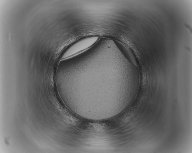 X0000099500681200806051123