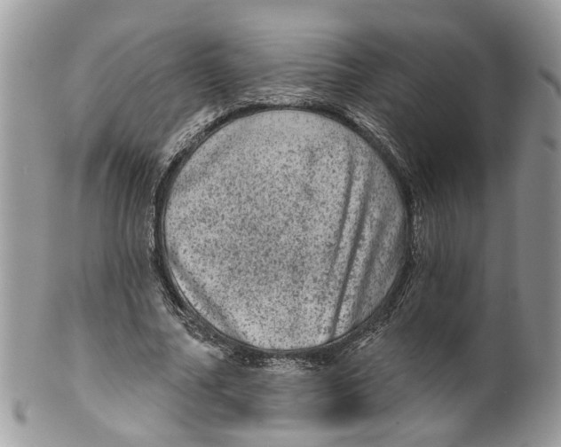 X0000099500682200806051123