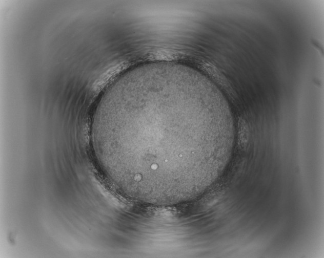 X0000099500683200806051123