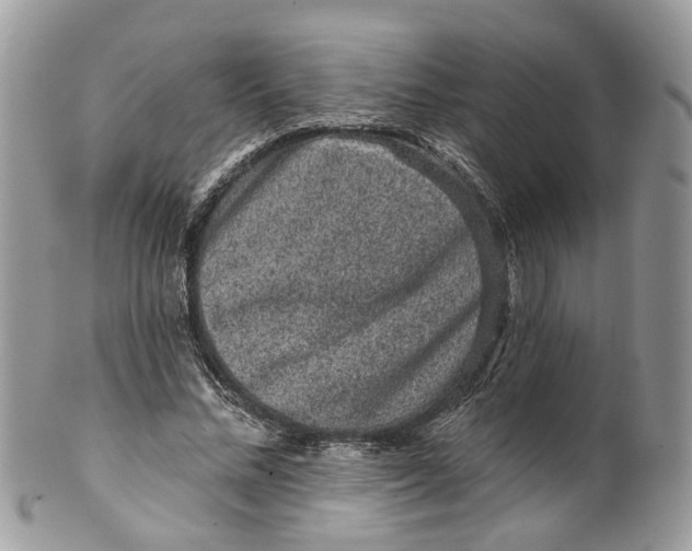 X0000099500684200806051123