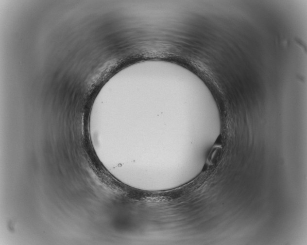 X0000099500686200806051123