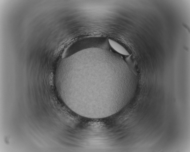 X0000099500689200806051123