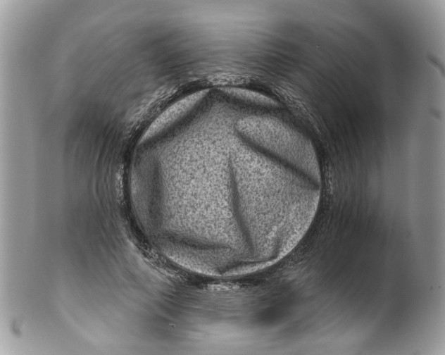 X0000099500690200806051123