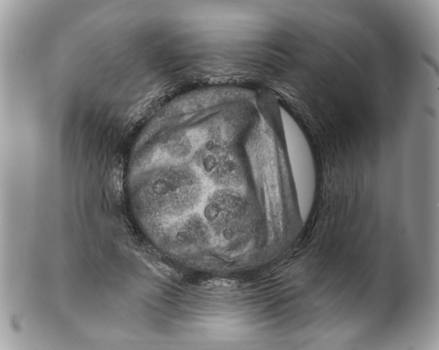 X0000099500691200806051123