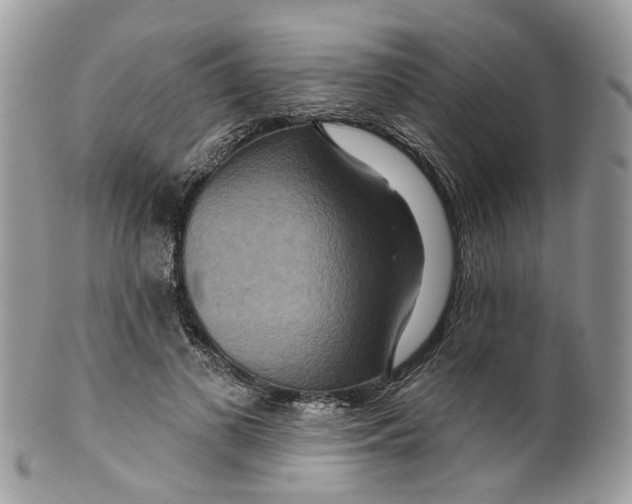 X0000099500693200806051123