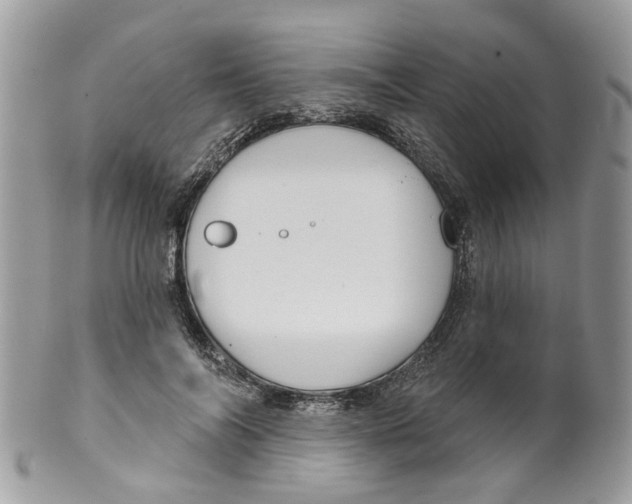 X0000099500694200806051123