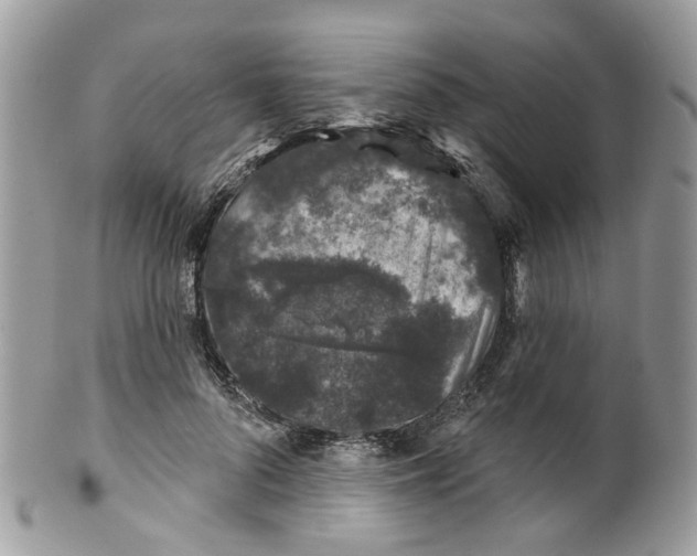 X0000099500696200806051123