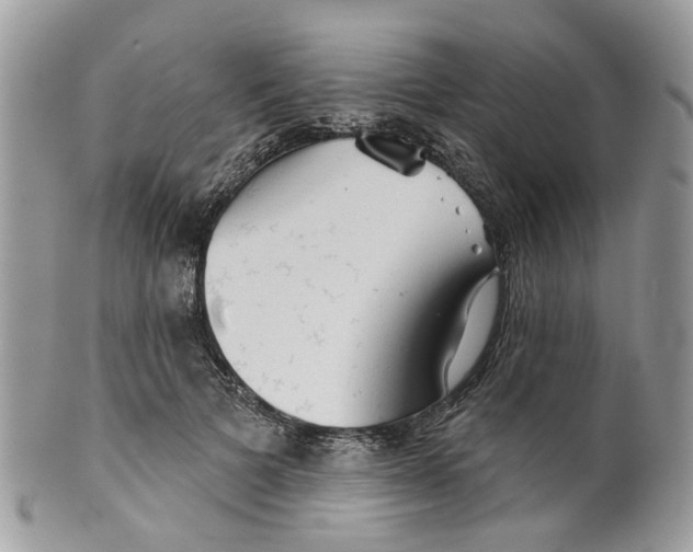 X0000099500697200806051123