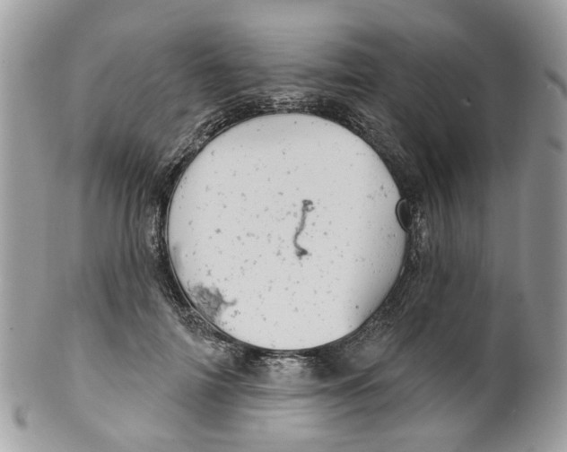 X0000099500698200806051123