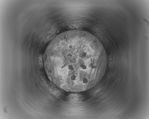 X0000099500699200806051123