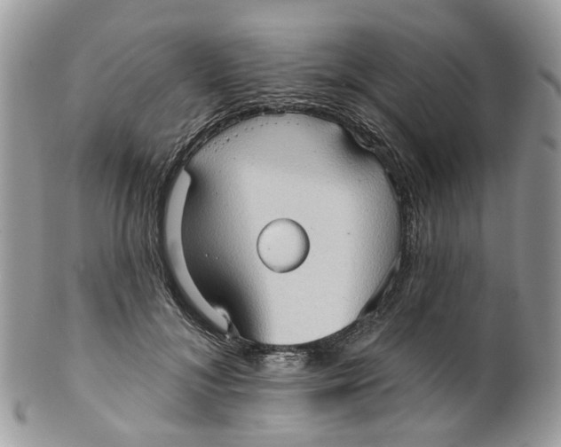 X0000099500700200806051123