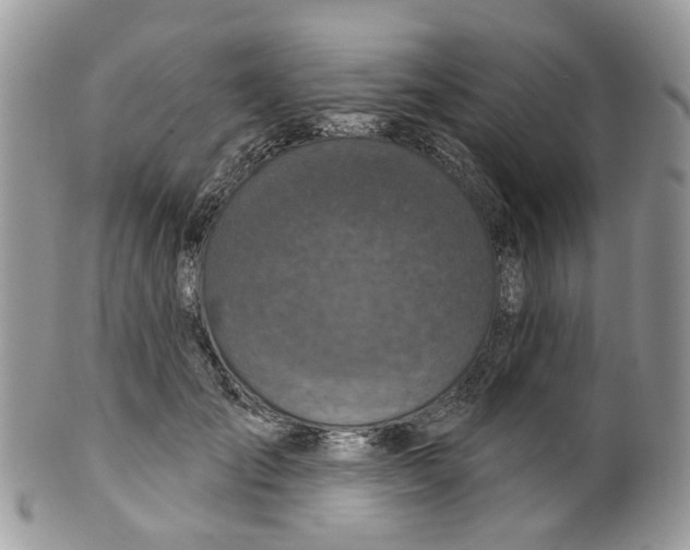 X0000099500701200806051123