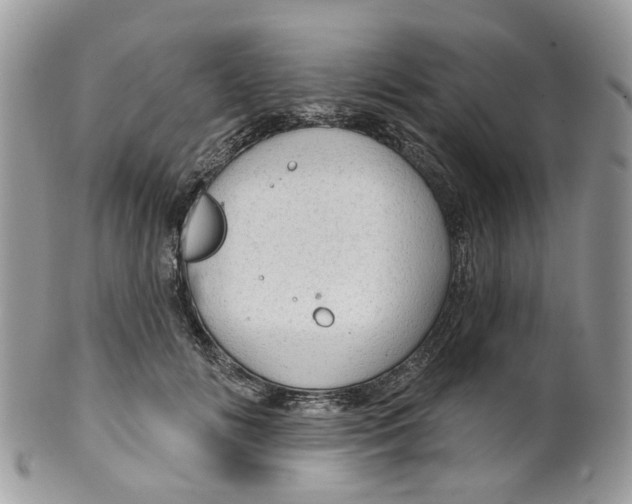 X0000099500702200806051123