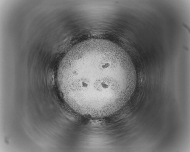 X0000099500703200806051123