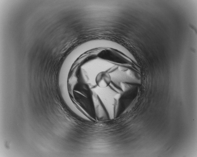 X0000099500704200806051123