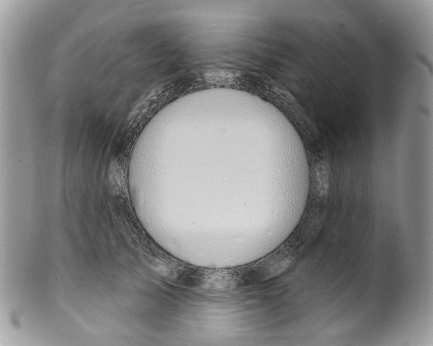 X0000099500705200806051123