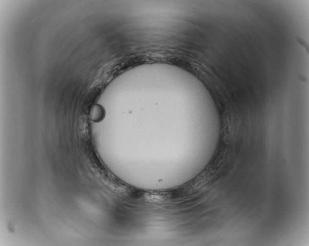 X0000099500706200806051123