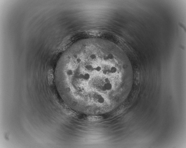 X0000099500707200806051123