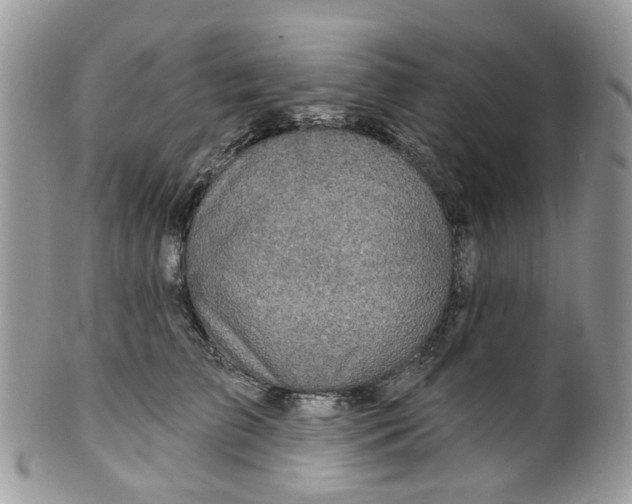 X0000099500709200806051123