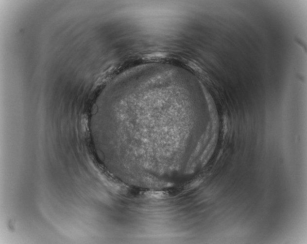 X0000099500711200806051123