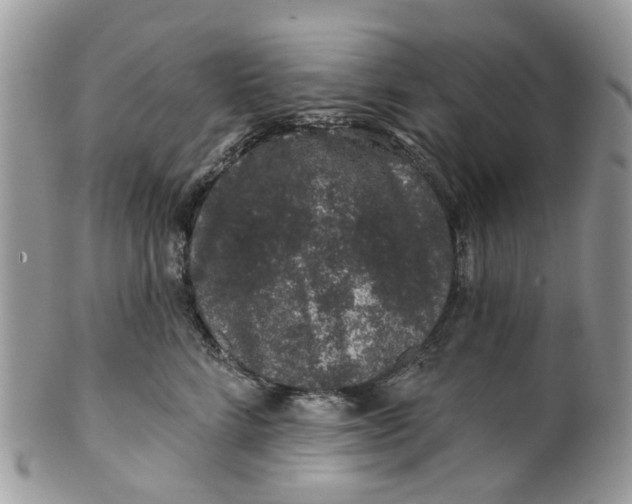 X0000099500712200806051123