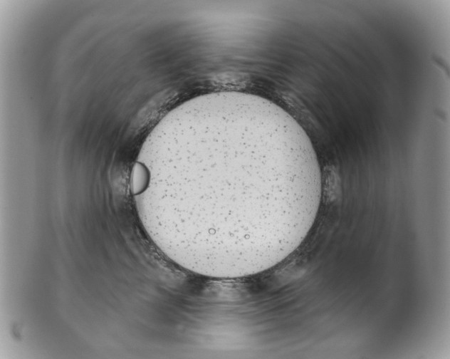 X0000099500713200806051123