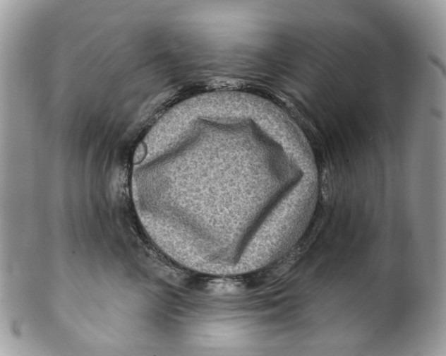 X0000099500714200806051123