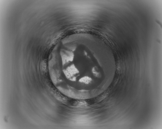 X0000099500715200806051123