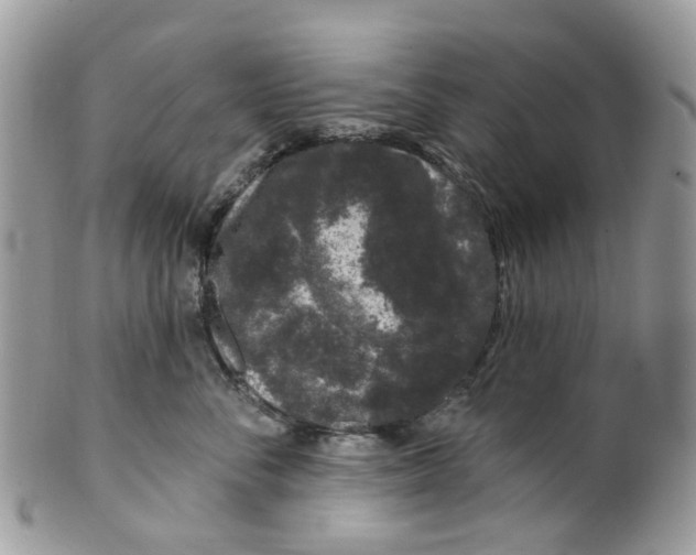 X0000099500716200806051123