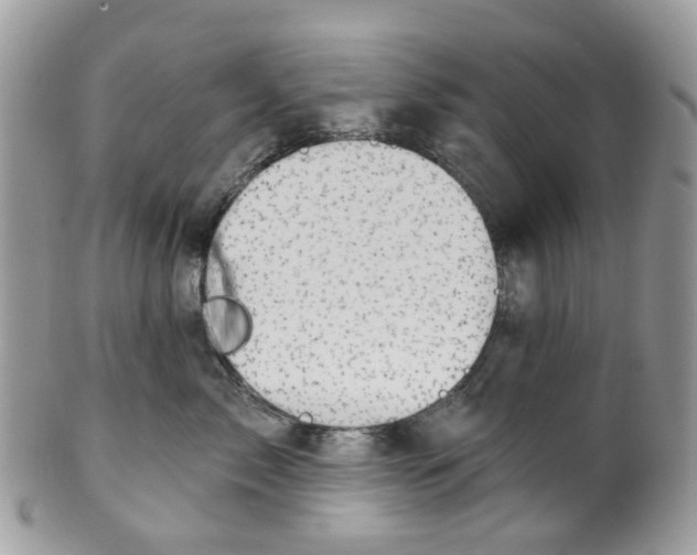 X0000099500717200806051123